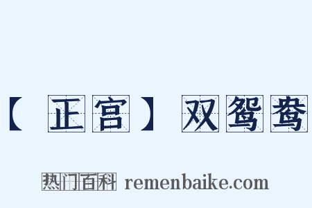 【正宫】双鸳鸯是什么意思的图片